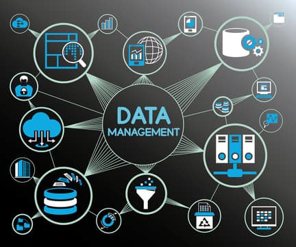 Data Management Consulting services - analytics and business intelligence dashboard by Iseyon Analytics showing data insights and reporting capabilities